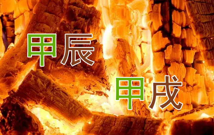 寒露——浅谈甲辰年甲戌月之木火通明的开启